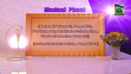 Useful Information About Rajab in English 05 -