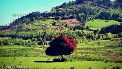 Kapustina celebra junto a Alonso la victoria en Montmeló