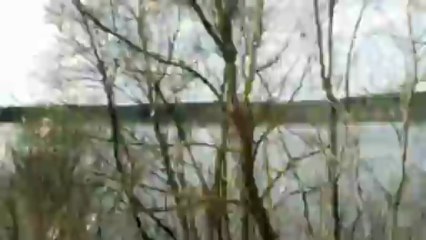 Jakość  przy - Simplicity