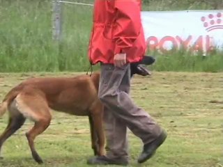 FURYO du Bois des Trembles - Mersuay - 2013