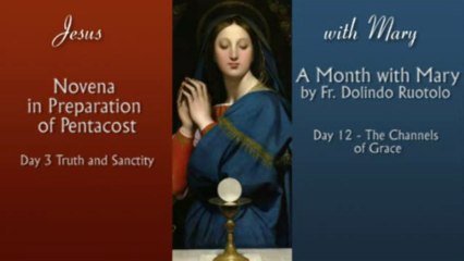 Truth, Sanctity and Grace - 2 Pillars #24: