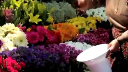 Bir AVM Kadıköy'den neleri götürür?