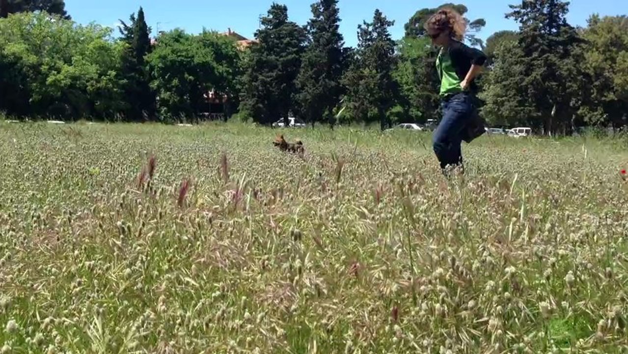 Gally au parc