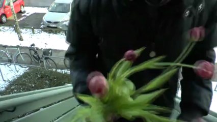 Between Friends 3C 🌟