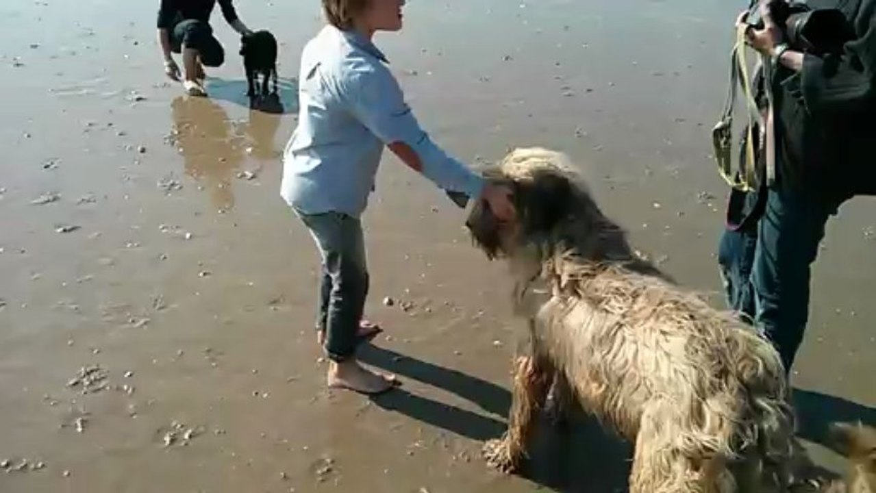 funny girl de kidenved