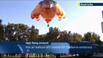 Ballena gigante con pechos voló por los cielos de Australia