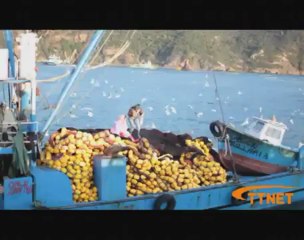 10 Ay %50 İndirimli İnternet Kampanyası (Kamera Arkası)