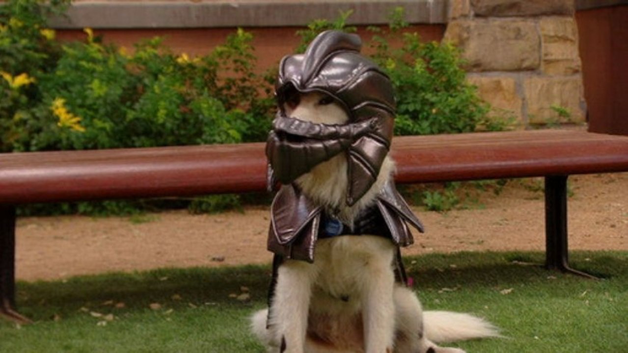 Dog With a Blog Season 1 Episode 14 - Crimes of the Art  Full Episode