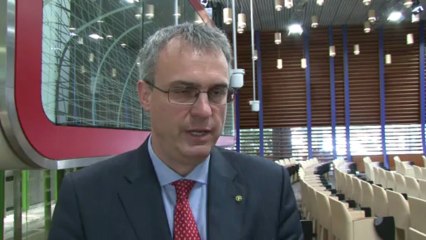 L'ONU recommande de manger des insectes