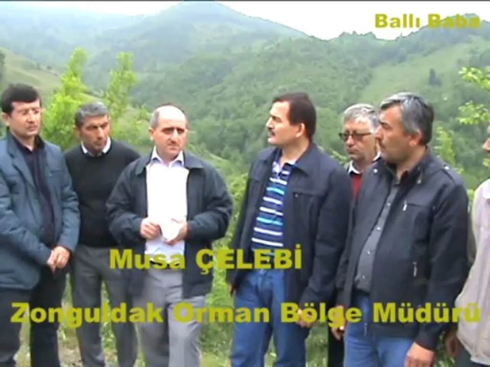 ZONGULDAK 1. BAL ORMANI