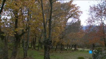 TRISTAN AURORA  MARTIN ERA EL QUE DESEABA QUE VIENIERAS ESDPV 13-05-2013