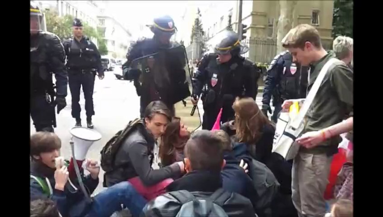 Lyon : manifestation d'opposants au mariage pour tous