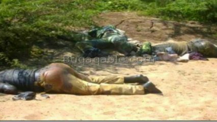 Tigray hate for Amharas