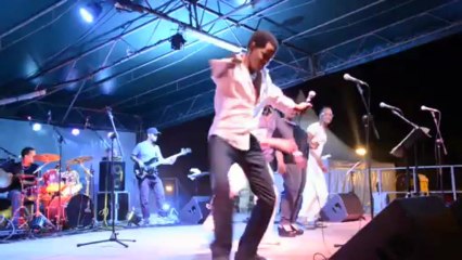 Fête du Vert-Pré : Show de Jean Michel Jean Louis "Profité" - dimanche 12 mai 2013