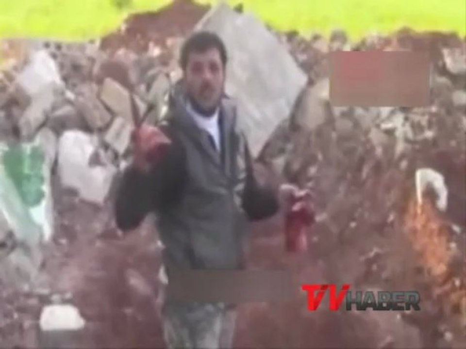 tv-haber