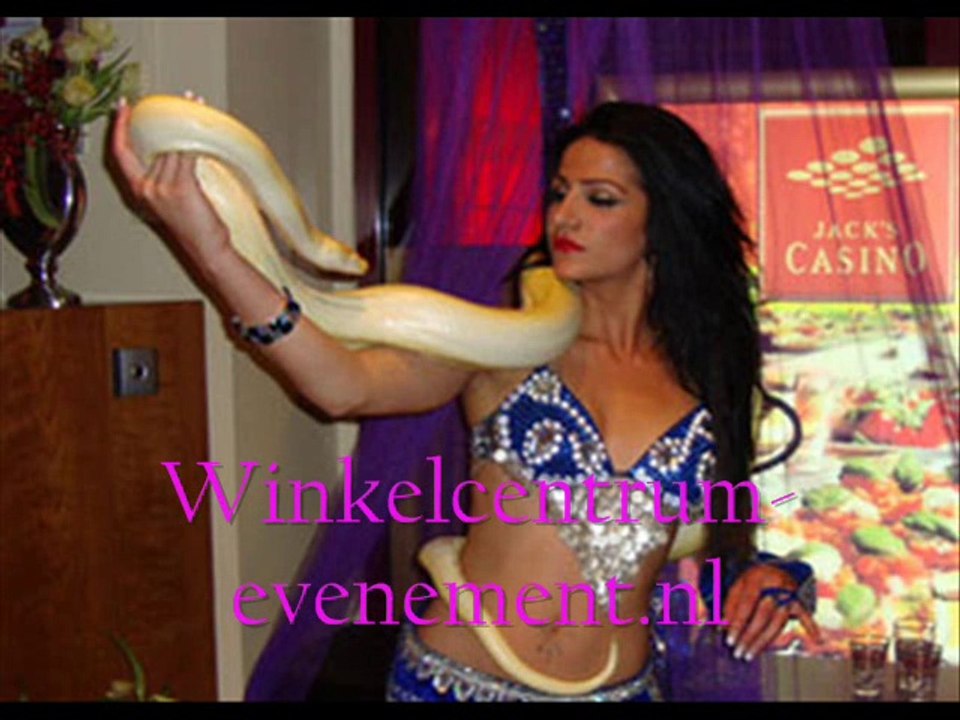 Winkelcentrum-evenement.nl