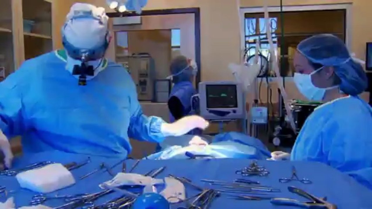 Rescue Vet Ep 11