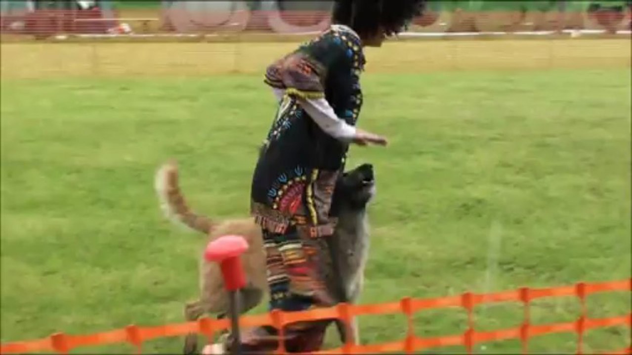 danse de la pluie