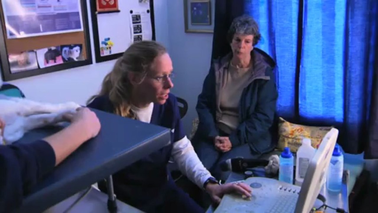 Rescue Vet Ep 08