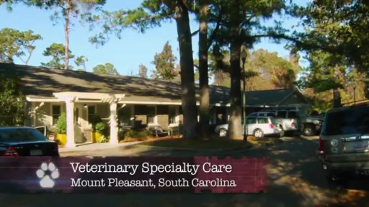 Rescue Vet Ep 05