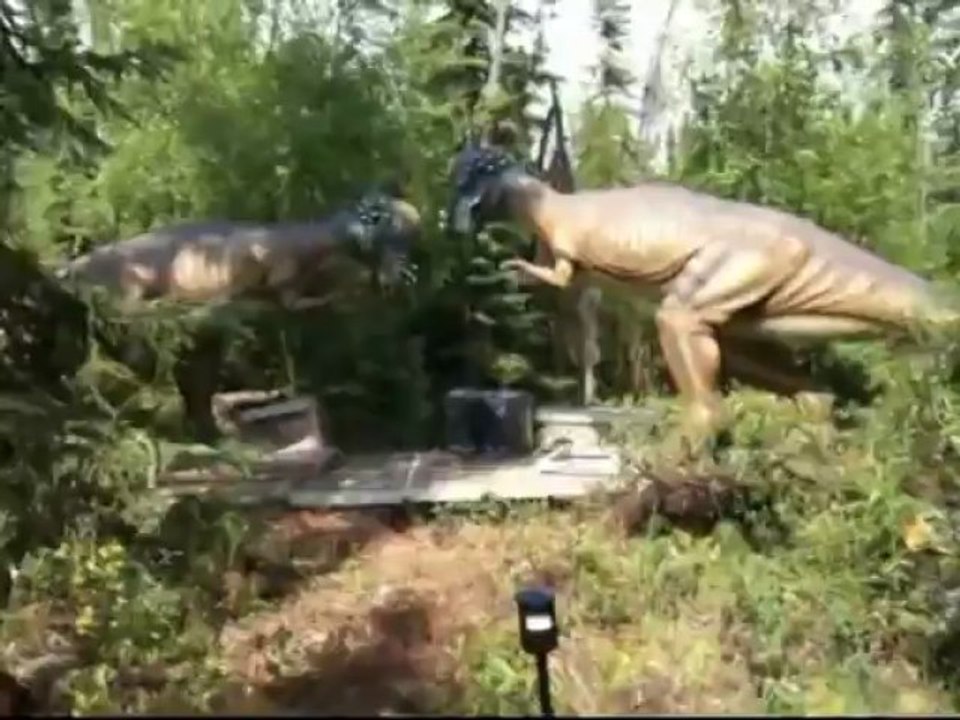 Pachycephalosaures dinosaures animatroniques Cuzco animatronics