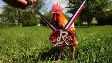 Arsène Humblot Bande démo 2012