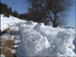 herkes mafya olmuş...