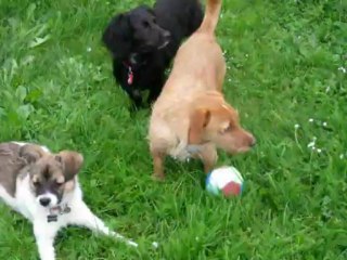 méllie apprend à jouer au ballon