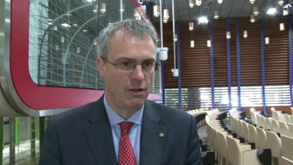 FAO recommends edible insects as environmentally friendly food