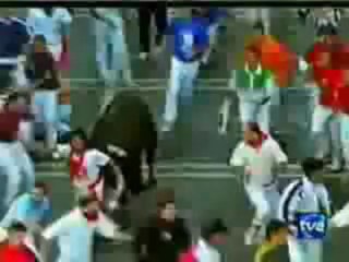 recopilacion ataques de animales