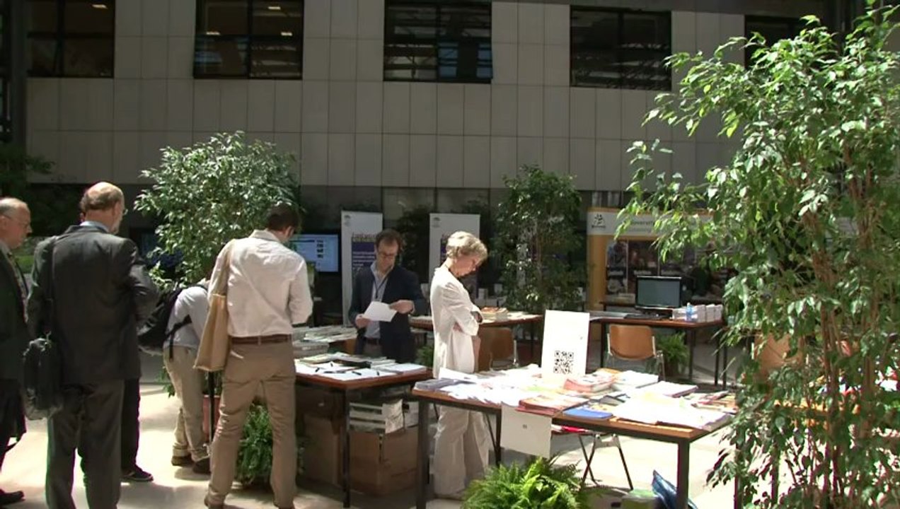 Necesitamos comer más insectos