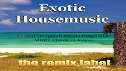 Paduraru pres Coolerika - Visualize Feeling (Deep Progressive House Mix)