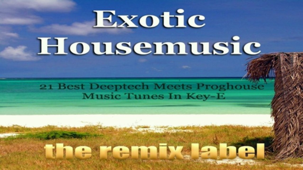 Paduraru pres Coolerika - Visualize Feeling (Deep Progressive House Mix)