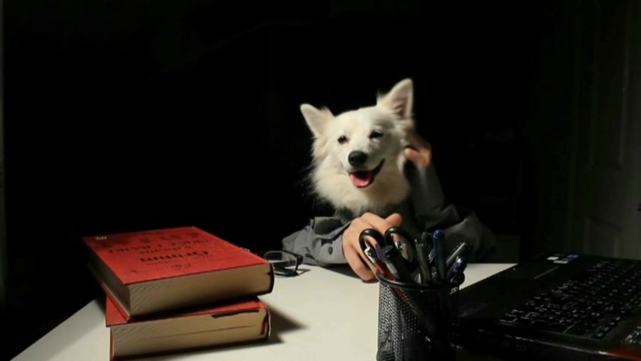 Team Free Lotto Magic Testimonial