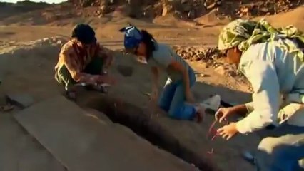 The Museum-02-Bodies Of Knowledge