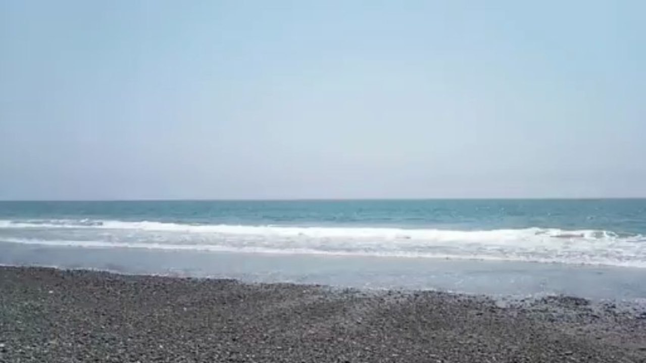 海