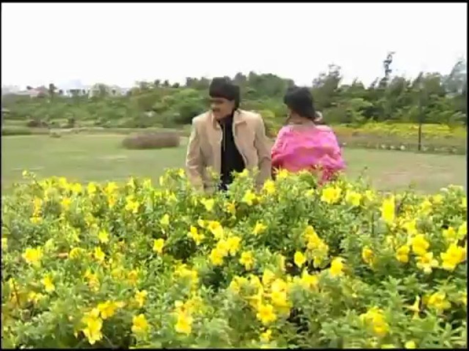 Jibanre Thare Adhe