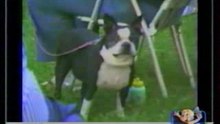 ENFIN UN CHIEN QUI SOURIT