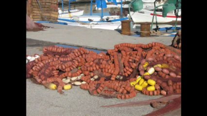 Il était une fois... l'embouchure d'un fleuve