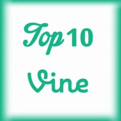 Top 10 Vine Videos