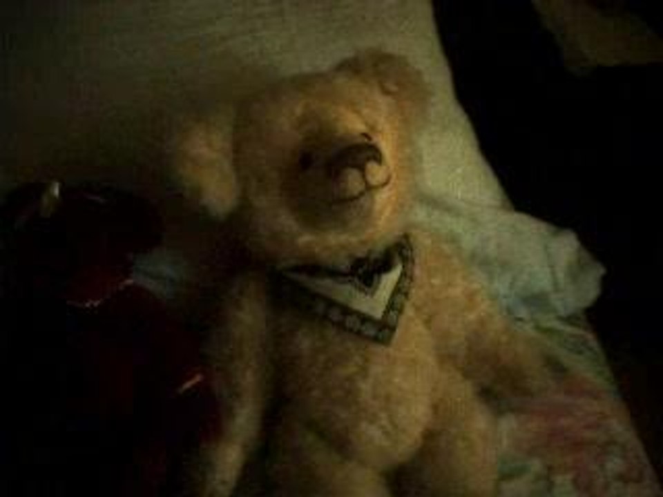 TEDDY TRASH TIME
