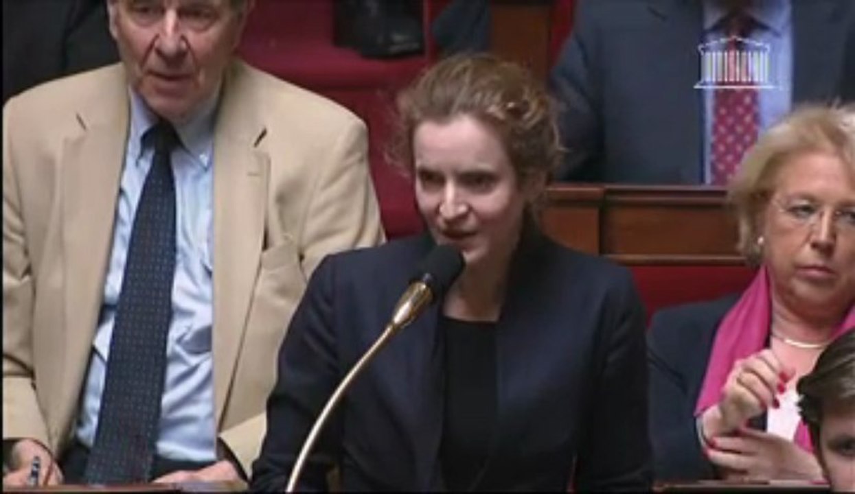NKM interpelle Manuel Valls sur les émeutes du Trocadéro - 14 mai 2013