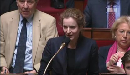 NKM interpelle Manuel Valls sur les émeutes du Trocadéro - 14 mai 2013