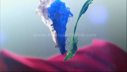 pub Ariel 3en1 Pods 2013 [HQ]