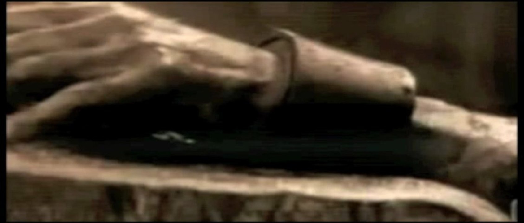 Gesu' nella sindone