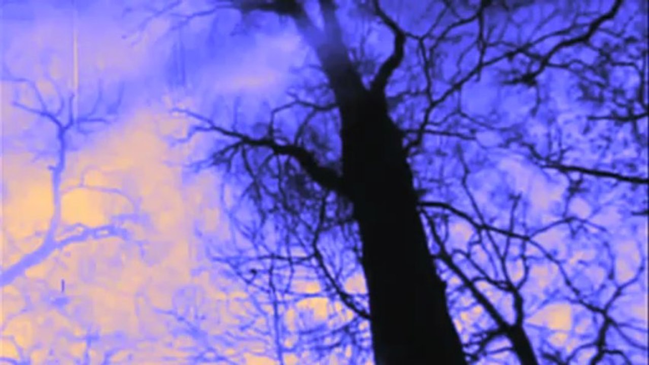 Shooter Jennings - The Gunslinger (Lyric Video)