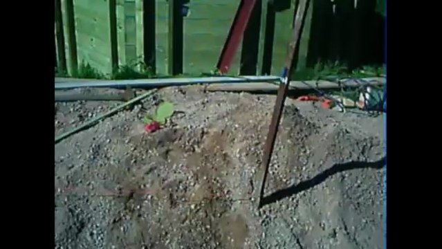 petard bison 1 sous canette