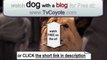 Dog With a Blog Season 1 Episode 12 - Freaky Fido  HQ