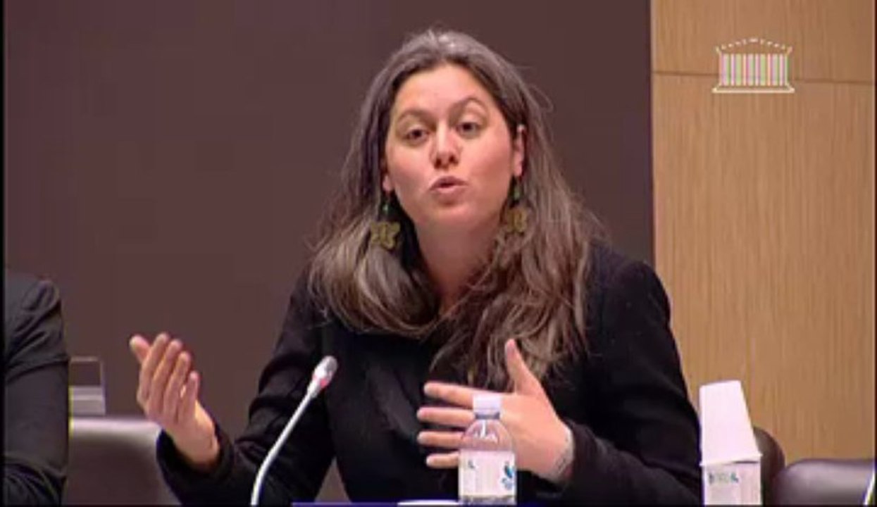 Table ronde environnement et droit minier - commission développement durable de l'Assemblée national - intervention de Sophie BRINGUY