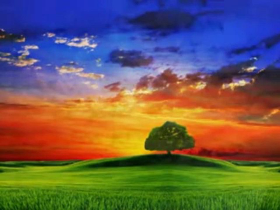 hani nerde aşkısı hani nerde bitanesi